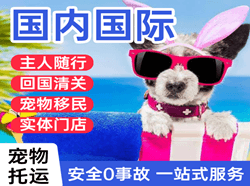 涟水空运地址国际宠物托运 【国